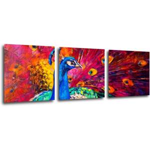 Impresi Obraz Barevný páv - 90 x 30 cm (3 dílný)