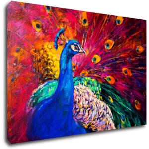 Impresi Obraz Barevný páv - 60 x 40 cm