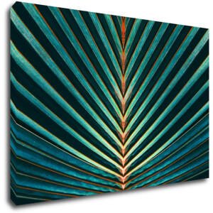 Impresi Obraz Palmový list - 60 x 40 cm