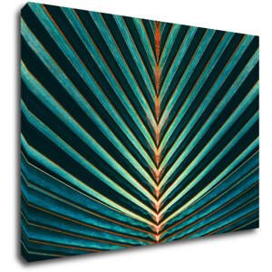 Impresi Obraz Palmový list - 70 x 50 cm