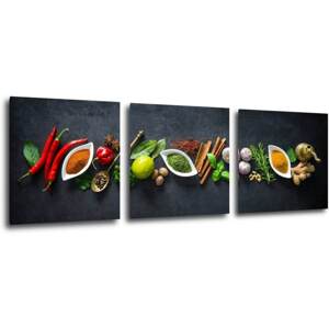 Impresi Obraz Druhy koření - 90 x 30 cm (3 dílný)
