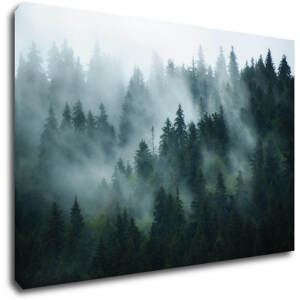 Impresi Obraz Les v mlze - 60 x 40 cm