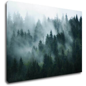 Impresi Obraz Les v mlze - 70 x 50 cm