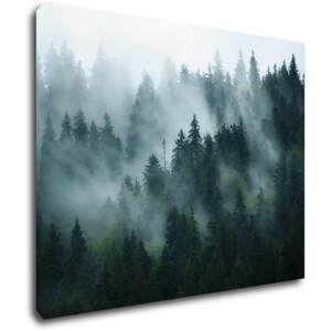 Impresi Obraz Les v mlze - 90 x 70 cm