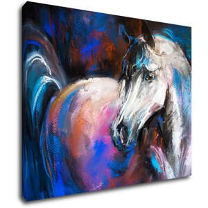 Impresi Obraz Barevný kůň - 90 x 70 cm