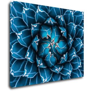 Impresi Obraz Modrý květ - 90 x 70 cm