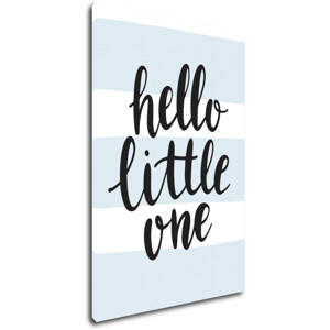 Impresi Obraz Hello little one - 40 x 60 cm