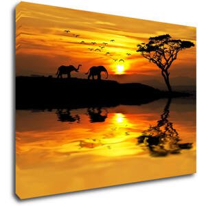 Impresi Obraz Safari západ slunce - 70 x 50 cm