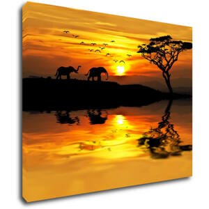 Impresi Obraz Safari západ slunce - 90 x 70 cm