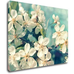Impresi Obraz Třešňový květ modré pozadí - 90 x 70 cm