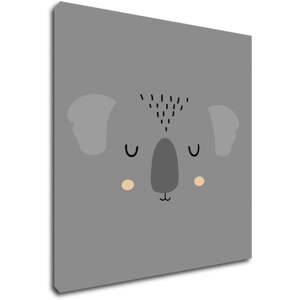 Impresi Obraz Koala ilustrace - 20 x 20 cm