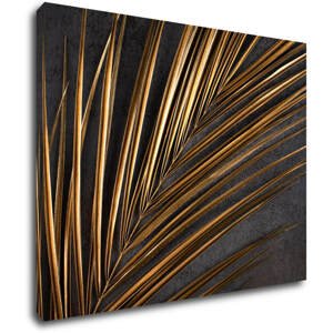 Impresi Obraz Zlatá palma - 90 x 70 cm