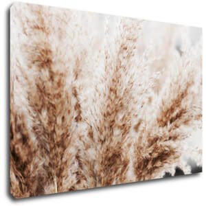 Impresi Obraz Suchá tráva skandinávský styl - 90 x 60 cm