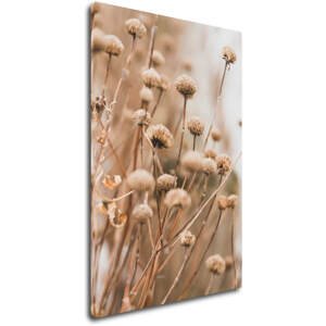 Impresi Obraz Skandinávský styl suchá tráva - 40 x 60 cm