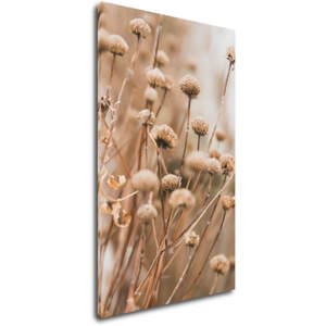 Impresi Obraz Skandinávský styl suchá tráva - 30 x 50 cm