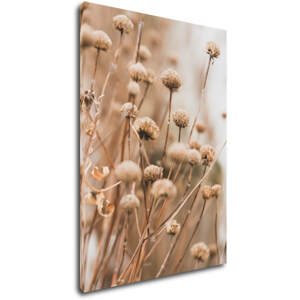 Impresi Obraz Skandinávský styl suchá tráva - 50 x 70 cm