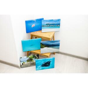 Fotoobrazy sada 6 kusů 30x20 cm z vlastní fotografie, Plátno 100% bavlna: Premium Canvas 390g/m², S lakováním