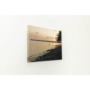 Fotoobraz 40x30 cm z vlastní fotografie, Plátno 100% bavlna: Premium Canvas 390g/m², S lakováním