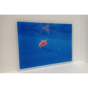 Expresní výroba - tisk na sklo 80x60 cm z vlastní fotografie, Sklo clearvision, S nalepovacím háčkem