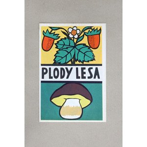 Plody lesa, 1040, retro omalovánky, František Kopenec