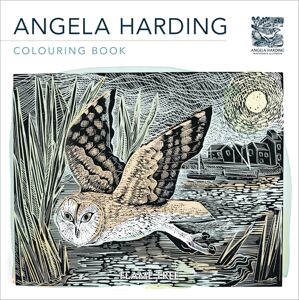 Angela Harding Art Colouring Book, antistresové omalovánky, Angela Harding