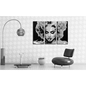 Ručně malovaný obraz POP Art MADONNA 3 díly ma2 | různé velikosti