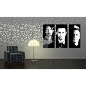 Ručně malovaný obraz Depeche Mode ve stylu POP Art, 3 díly, 000 dep | různé velikosti
