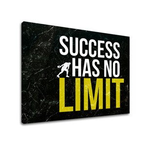 Motivační nástěnný obrázek o úspěchu_009
