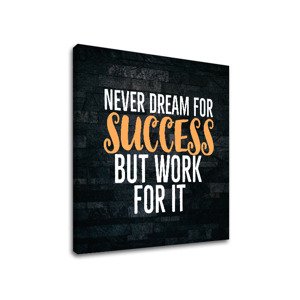 Motivační nástěnný obrázek o úspěchu_006