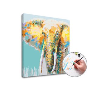 Malba podle čísel AFRICAN SLON | low difficulty
