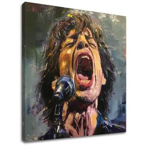 Obrázek MICK JAGGER - Legenda na pódiu | 100% originální akrylová barva