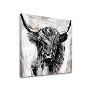 Obraz na plátně BULL 001 60x60 cm