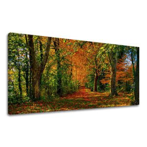 Nástěnný obraz PANORAMA STROMY 60x120 cm
