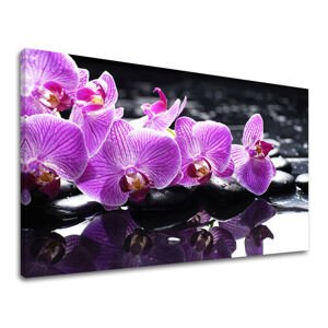 Nástěnný obraz FENG SHUI 100x150 cm