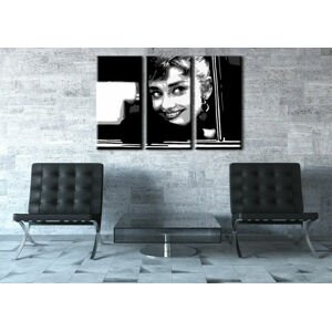 Ručně malovaný POP Art Audrey Hepburn 3 dílný 120x80cm