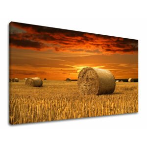 Nástěnná malba LAND KR034E11