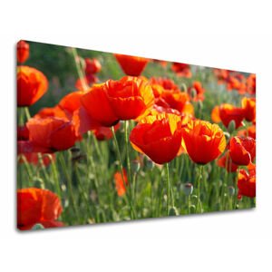 Nástěnná malba FLOWERS MAKY XOBKV119E11