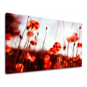 Nástěnná malba FLOWERS MAKY XOBKV121E11