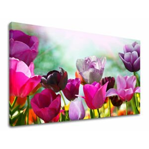 Nástěnná malba KVĚTINY TULIPÁNY XOBKV148E11