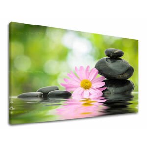 Nástěnná malba FENG SHUI FS009E11