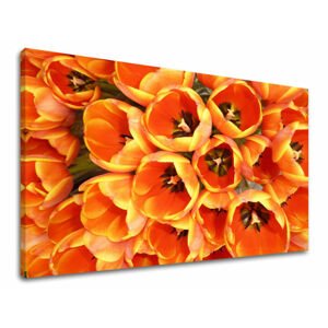 Nástěnná malba KVĚTY TULIPÁNY KV026E11