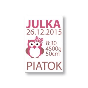 Nástěnné malování „Naše holčička“ s textem TEX013O1