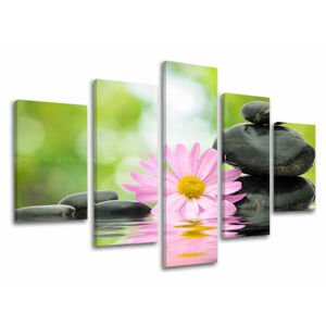 5dílná nástěnná malba FENG SHUI FS009E50
