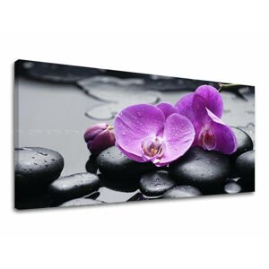 Nástěnná malba PANORAMA FENG SHUI FS011E13
