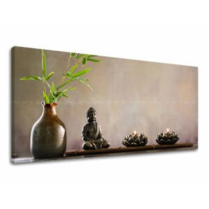 Nástěnná malba PANORAMA FENG SHUI FS014E13