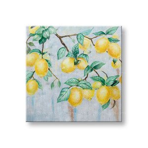 Malovaný nástěnný obraz CITRONY 1 díl 60x60 cm CWF1840SDE1