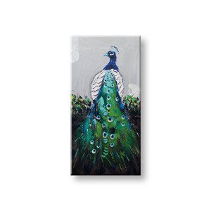 Malovaný nástěnný obraz PAV 1 díl CFAZH4048E1 - 60x120 cm