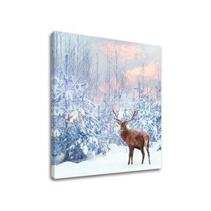 Nástěnná malba ZVÍŘATA_053-12