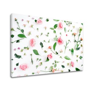 Nástěnná malba ROSE_155-11