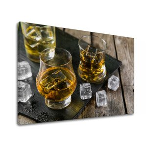 Nástěnný obraz NÁPOJ S LEDEM_068-11